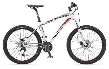 Mountainbike zum mieten