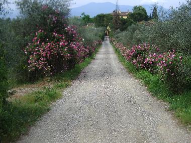 Pension in Scandicci (Firenze) (Firenze) oder Ferienwohnung oder Ferienhaus