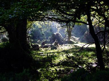 Ferienhaus in pigueces (Asturias) oder Ferienwohnung oder Ferienhaus