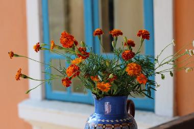 Ferienhaus in Popovo (Turgovishte) oder Ferienwohnung oder Ferienhaus