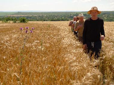 Ferienhaus in Popovo (Turgovishte) oder Ferienwohnung oder Ferienhaus