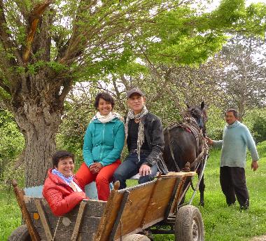 Ferienhaus in Popovo (Turgovishte) oder Ferienwohnung oder Ferienhaus