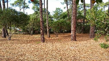 Ferienhaus in lacanau-ocean (Gironde) oder Ferienwohnung oder Ferienhaus