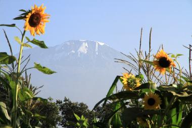 Pension in Moshi (Kilimanjaro) oder Ferienwohnung oder Ferienhaus