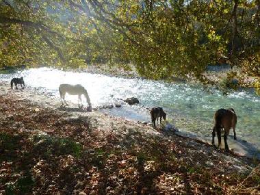 Acheron Fluss, Pferedereiten und Rafting