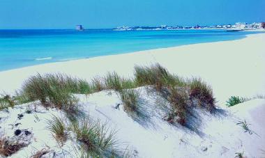 Ferienwohnung in PORTO CESAREO (Lecce) oder Ferienwohnung oder Ferienhaus