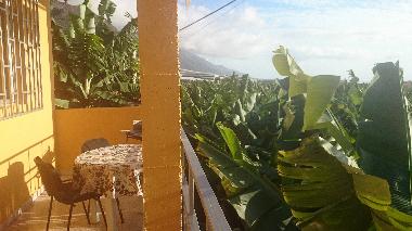Ferienhaus in Puerto Naos (La Palma und El Hierro) oder Ferienwohnung oder Ferienhaus