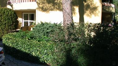 Ferienwohnung in cavalaire sur mer (Var) oder Ferienwohnung oder Ferienhaus