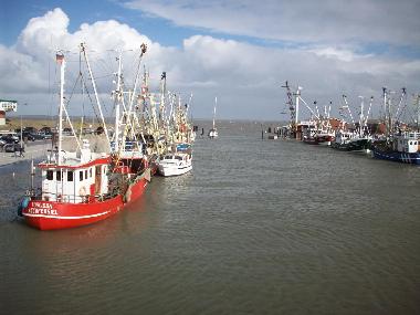 Ferienhaus in Dornumersiel (Nordsee-Festland / Ostfriesland) oder Ferienwohnung oder Ferienhaus