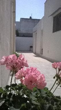 Ferienhaus in Corsano (Lecce) oder Ferienwohnung oder Ferienhaus