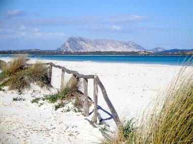 Villa in San Teodoro (Olbia-Tempio) oder Ferienwohnung oder Ferienhaus