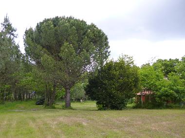 Ferienhaus in BOOS (Landes) oder Ferienwohnung oder Ferienhaus