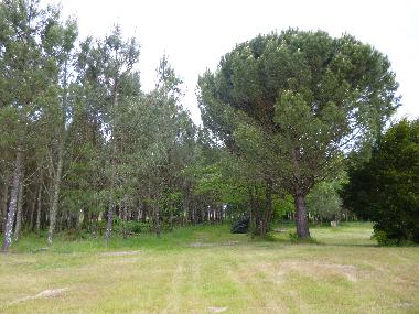 Ferienhaus in BOOS (Landes) oder Ferienwohnung oder Ferienhaus