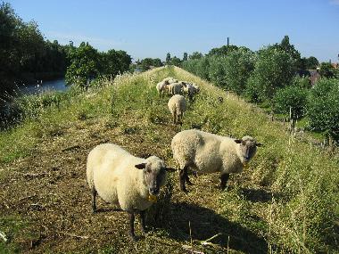 Am Zuiderdiep