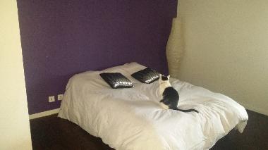 Villa in viriat (Ain) oder Ferienwohnung oder Ferienhaus