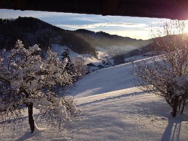 Ferienhaus in B�retswil (Z�rich) oder Ferienwohnung oder Ferienhaus