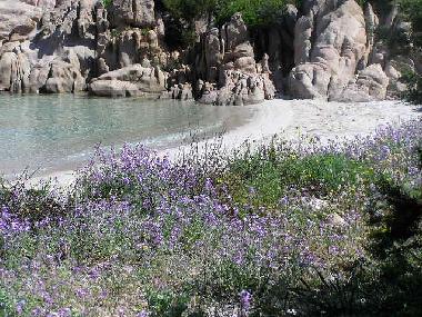 Ferienhaus in San Teodoro (Sassari) oder Ferienwohnung oder Ferienhaus