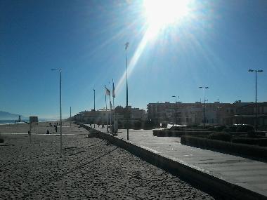 Ferienwohnung in OLIVA (Valencia / Val�ncia) oder Ferienwohnung oder Ferienhaus