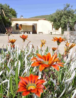 Villa in Gaeta (Latina) oder Ferienwohnung oder Ferienhaus