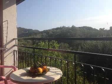 Ferienwohnung in Kerkyra (Kerkyra) oder Ferienwohnung oder Ferienhaus