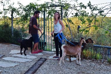 Ferienhaus in Mikhmoret (HaMerkaz (Central)) oder Ferienwohnung oder Ferienhaus