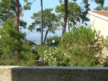 Ferienwohnung in 20290 (Haute-Corse) oder Ferienwohnung oder Ferienhaus