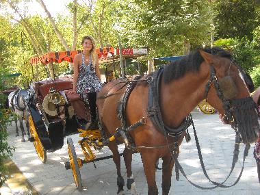 Ferienhaus in bormujos sevilla (Sevilla) oder Ferienwohnung oder Ferienhaus