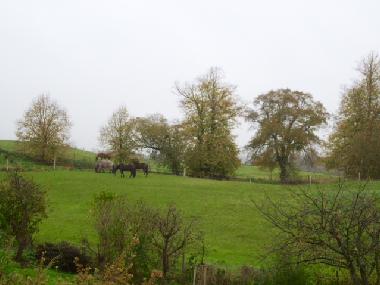 Blick aus dem Schlafzimmefenster