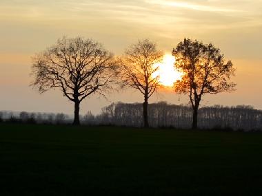 Sptherbstliche Stimmung ber den Feldern