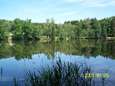 Ferienwohnung in Litschau (Waldviertel) oder Ferienwohnung oder Ferienhaus