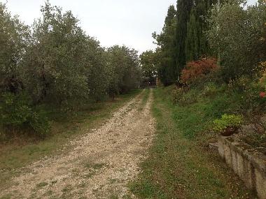 Ferienhaus in FANO (Pesaro e Urbino) oder Ferienwohnung oder Ferienhaus