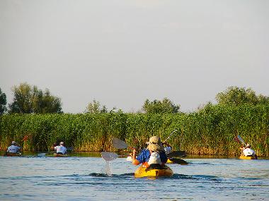 Ferienhaus in Somova (Tulcea) oder Ferienwohnung oder Ferienhaus