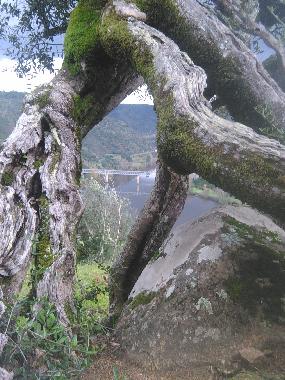 Pension in Vilar da M� - Belver, Gavi�o (Alto Alentejo) oder Ferienwohnung oder Ferienhaus