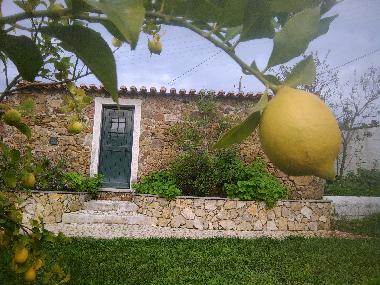 Pension in Vilar da M� - Belver, Gavi�o (Alto Alentejo) oder Ferienwohnung oder Ferienhaus