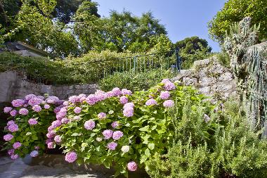 Ferienwohnung in Dubrovnik (Dubrovacko-Neretvanska) oder Ferienwohnung oder Ferienhaus
