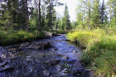 Ferienhaus in Svenstavik-Gal�bodarna (J�mtland) oder Ferienwohnung oder Ferienhaus