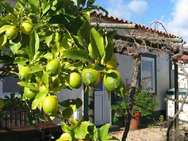 Ferienwohnung in Santa Margarida da Serra (Alentejo Litoral) oder Ferienwohnung oder Ferienhaus