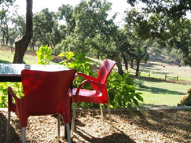 Ferienwohnung in Santa Margarida da Serra (Alentejo Litoral) oder Ferienwohnung oder Ferienhaus