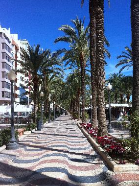 Ferienwohnung in Rojales (Alicante / Alacant) oder Ferienwohnung oder Ferienhaus