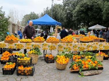 Orangen und Zitronenverkauf whrend der Gartenausstellung in Milis