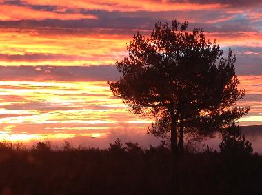 Ferienhaus in Caseneuve (Vaucluse) oder Ferienwohnung oder Ferienhaus