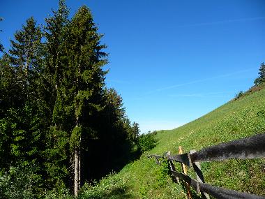 Ferienwohnung in Villn�ss (Bolzano-Bozen) oder Ferienwohnung oder Ferienhaus