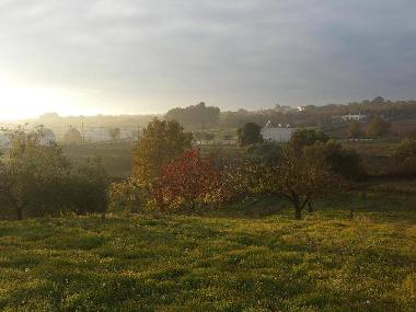 Ferienhaus in Martina Franca (Taranto) oder Ferienwohnung oder Ferienhaus