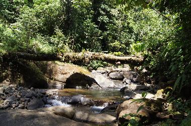 Villa in Puntarenas (Puntarenas) oder Ferienwohnung oder Ferienhaus