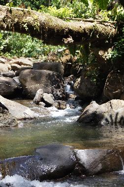Villa in Puntarenas (Puntarenas) oder Ferienwohnung oder Ferienhaus