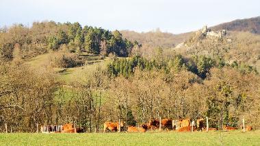 Ferienhaus in Durban sur Arize (Ari�ge) oder Ferienwohnung oder Ferienhaus