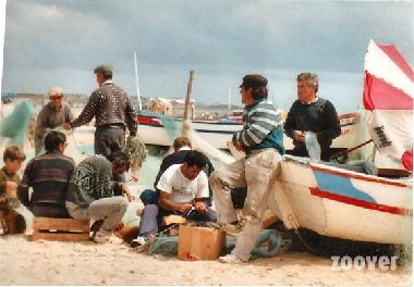 Ferienwohnung in Quarteira (Algarve) oder Ferienwohnung oder Ferienhaus
