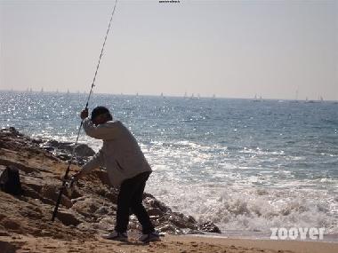 Ferienwohnung in Quarteira (Algarve) oder Ferienwohnung oder Ferienhaus