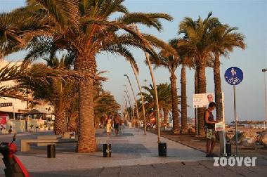 Ferienwohnung in Quarteira (Algarve) oder Ferienwohnung oder Ferienhaus