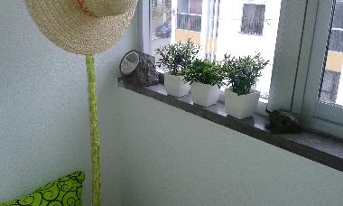 Ferienwohnung in Santiago do Cac�m (Alentejo Litoral) oder Ferienwohnung oder Ferienhaus